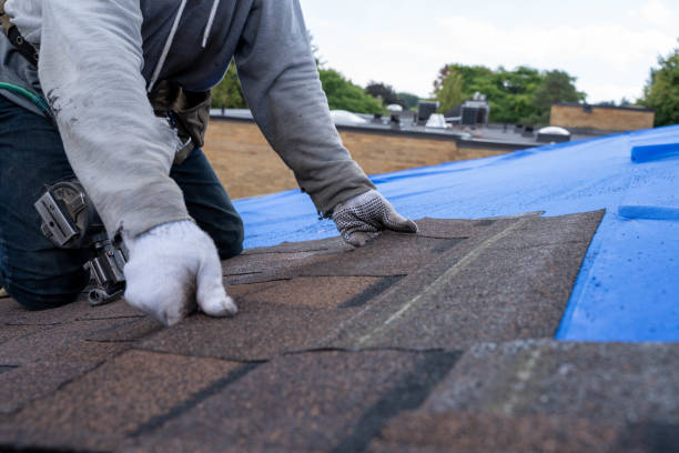 Best Roof Gutter Cleaning  in Rouse, CA